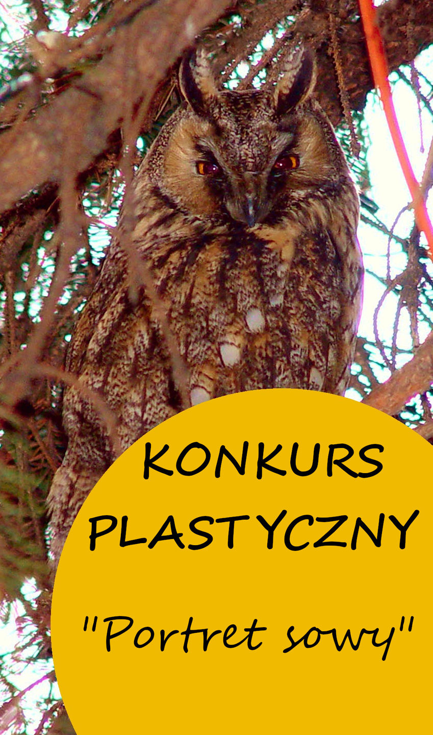 konkurs plastyczny