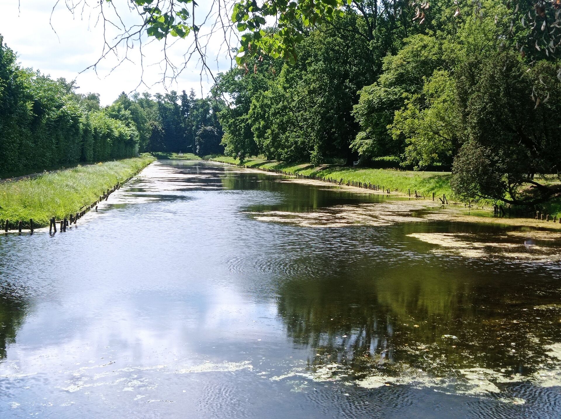 16. IMG 20230627 111755 Nieborów SP 38