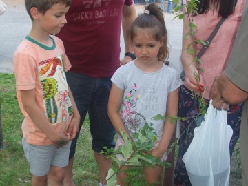 Piknik Rodzinny podczas Festiwalu Nauki, Stanisław Pytliński