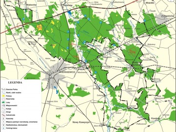 Parkowanie i poruszanie się na terenach leśnych_1, A. Pruszkowska