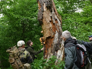 42 Sympozjum Sekcji Koleopterologicznej Polskiego Towarzystwa Entomologicznego, 