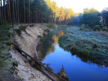 Nieustające piękno - dzień krajobrazu, 