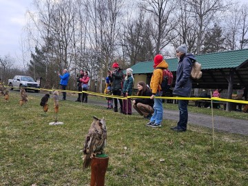 Noc sów w Moszczenicy - 2026, 