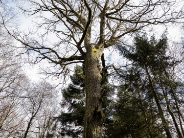 W oczekiwaniu na wiosnę rezerwat Czarna Rózga 2026, 
