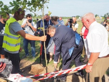 Łódzkie Dożynki Wojewódzkie w Walewicach, 