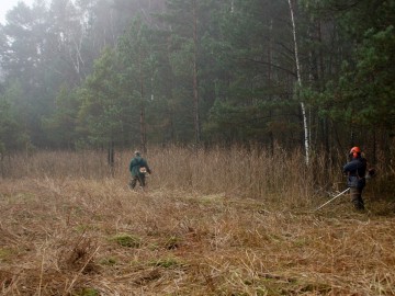 Koszenie torfowiska w rez. Piskorzeniec 2021, 