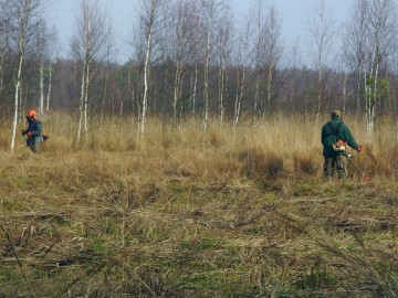 Koszenie torfowiska w rez. Piskorzeniec 2021, 