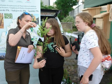 Piknik Rodzinny w Przedborzu 2023, 