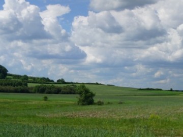 Rezerwat Bukowa Góra od strony Rączek.