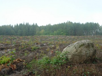 Rajd pieszy szlakiem Królewskich Łowów 2019, 