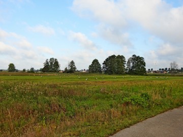 Sejmik bocianów, 