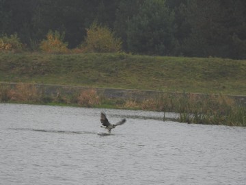 Rybołów, Sulejowski PK, Szymon Kielan