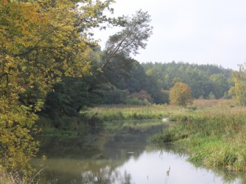 Sprzątanie świata - na Murowańcu 2019, 