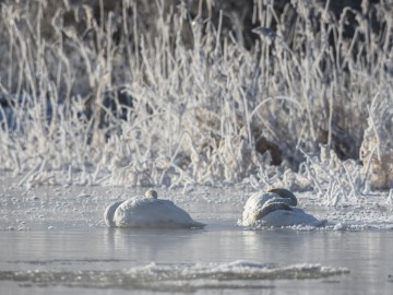 Zimowe obrazy w PPK 2026., 