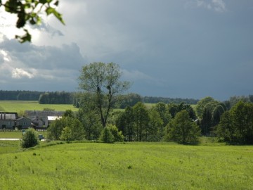 Skoszewy Stare