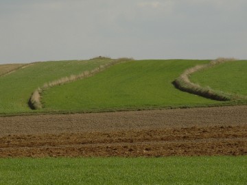 Okolice Grzmiącej