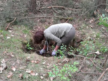 Akcja sprzątania w Kopance , fot. M. Perek - UG Nowosolna