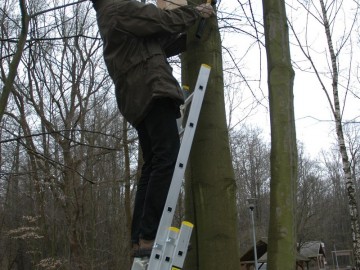 budki lęgowe, fot. A. Zaborowska