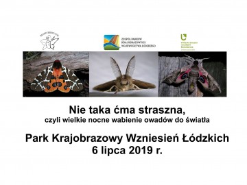 Zaproszenie na nocne wabienie owadów w PKWŁ, Fundacja Biodiversitatis