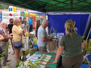 Piknik w Sędziejowicach, 