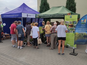 Piknik w Sędziejowicach, 