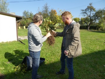 Dzień Drzewa, <p>Wanda Pogorzelska</p>