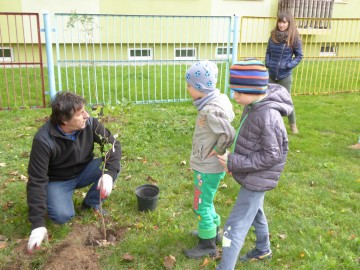 Dzień Drzewa w Przedszkolu nr 6, 