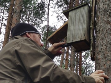 Czyszczenie budek lęgowych w PKMWiW, <p>K. Kierniakiewicz</p>