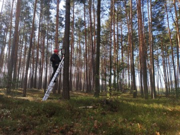 Czyszczenie budek lęgowych w naszych parkach, 