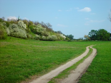 Widok na skarpę w Strońsku