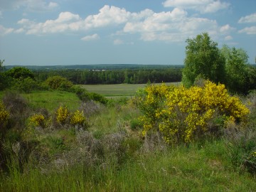 Widok z Góry Charlawa