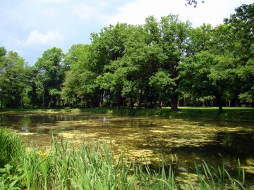 Park w Pstrokoniach