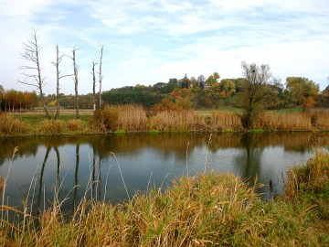 Strońsko