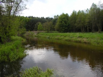 Krajobraz PKMWiW, PK Międzyrzecza Warty i Widawki, W. Pogorzelska, OT SPK