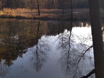 Mokradła, rzeki i strumyki w ZPK, 