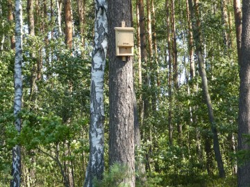 Budka lęgowa, <p>K.Piasecka</p>