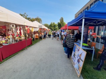 Zduńskowolskie Dni Seniora, 