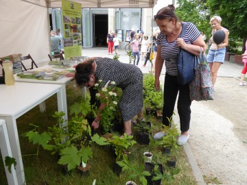 Piknik ekologiczny w Zduńskiej Woli, 