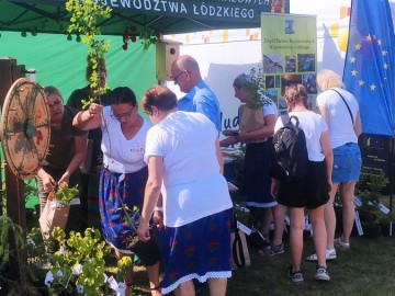 Piknik województwa łódzkiego w Ostrówku, 