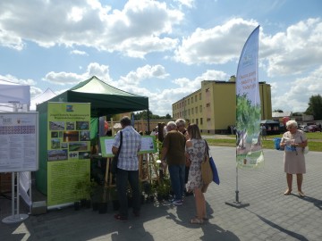 Piknik Rodzinny w Wieluniu, 