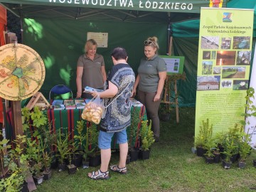 Piknik Rodzinny na placu parafialnym przy Bazylice Mniejszej p.w. NMP w Zduńskiej Woli, 