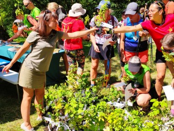 POZNAJ ŁÓDZKIE Z NORDIC WALKING - Strońsko 2025, 