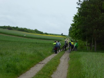 Rowerem nad Wartą - wiosna 2021, <p>K. Piasecka</p>