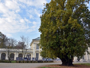 Konferencja Walewice 2019, D.Chadryś