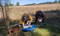 Rozpoznanie uwarunkowań geologicznych w rejonie Żabiego Stawu w ZPK